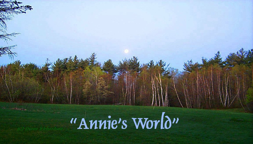 anniesworldbanner