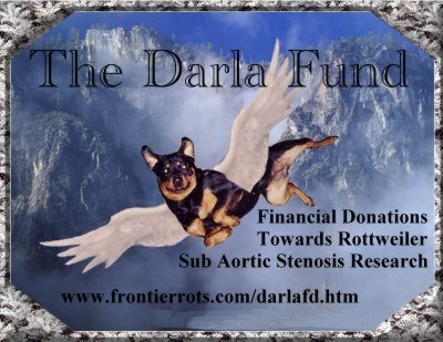 Darla Fund Rottweiler SAS info and research