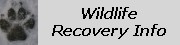wildlife recovery info