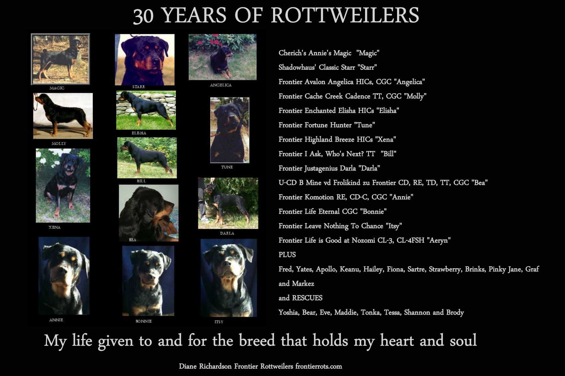 30 years rottweilers